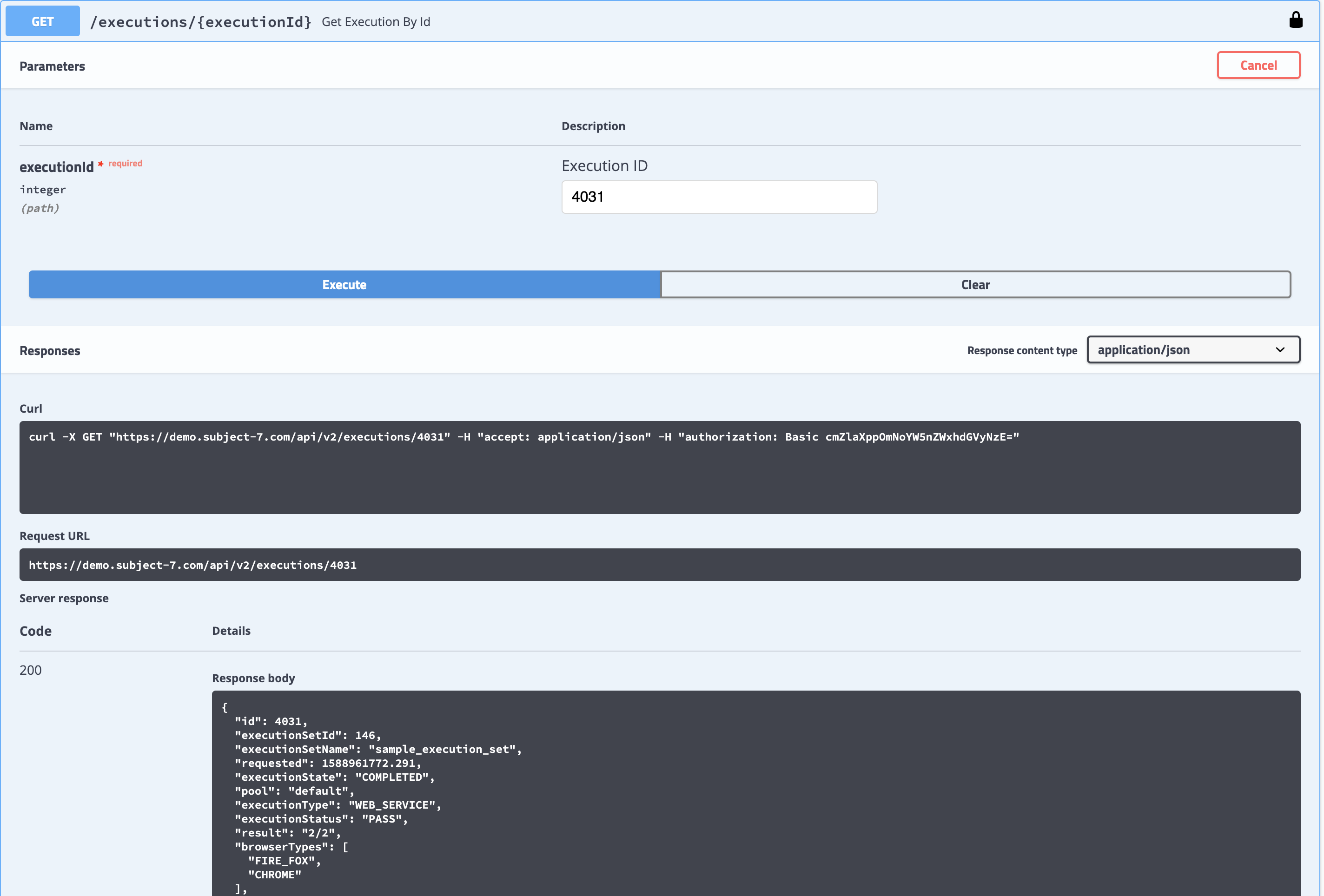 swagger_report_execution_4031.png